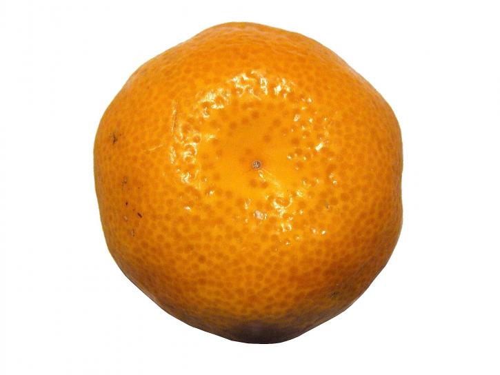 Mandarin, buah, putih latar belakang