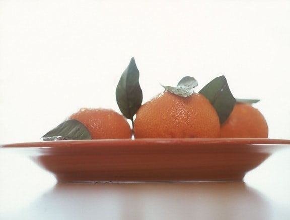 tangerines ผลไม้ ส้ม reticulata