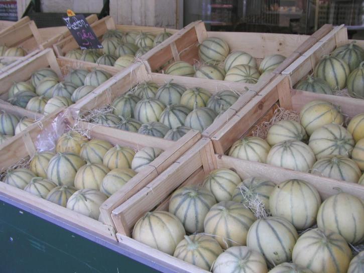 Charente, meloni
