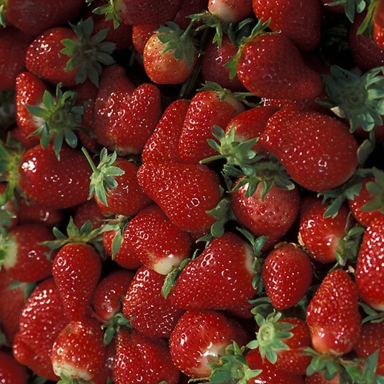 chandler, strawberries