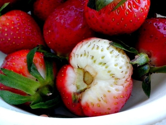 several, red, one, white, strawberries, bowl