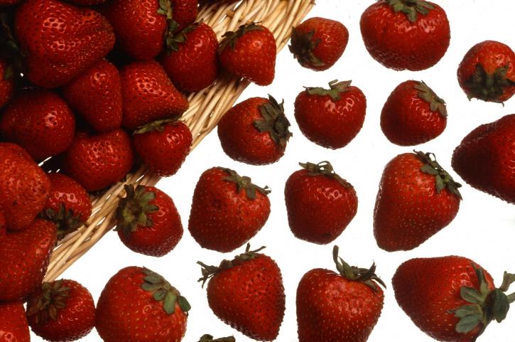 Erdbeeren, Früchte