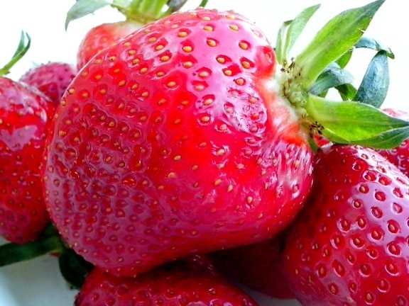 strawberries, tasty fruit, close up