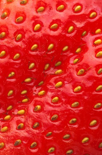 草莓, 关闭