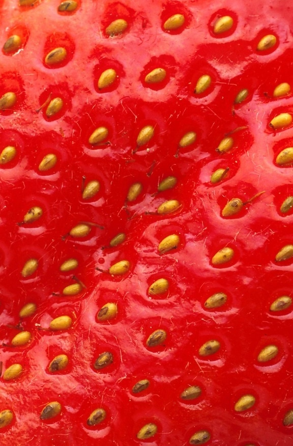 strawberry, close