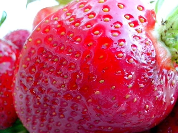 strawberry, fruit, up-close, macro