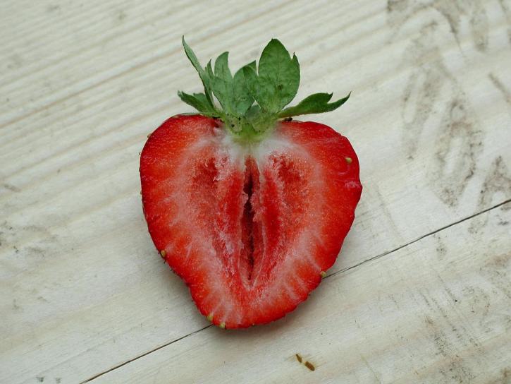strawberry, stock, picture