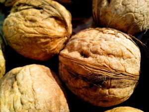 Free picture: walnut, nut, seeds, plant, fruit, big, white background