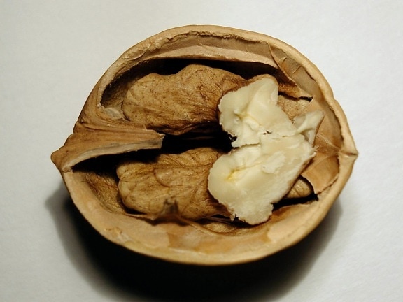 nut, fruit