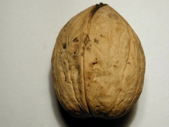 walnut, high resolution, close-up, fruit