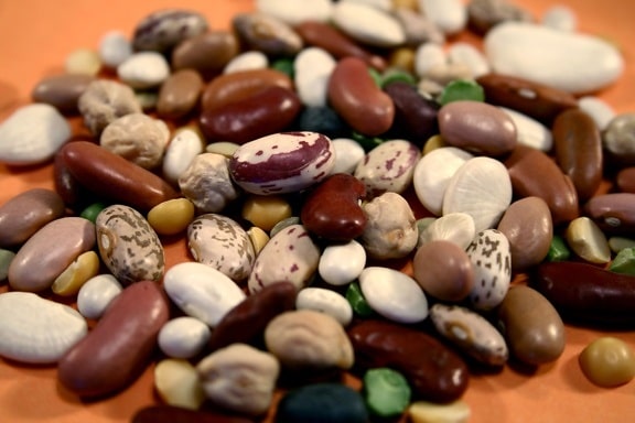 up-close, dried, beans, assembled, mixed, pile