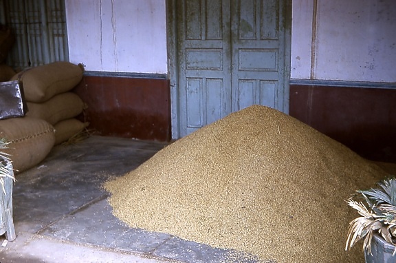 comune, il metodo, il riso, lo stoccaggio, Gujarat, India, villaggi