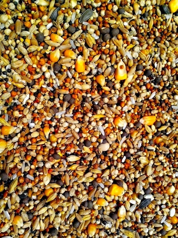 details, image, seeds, various, grains