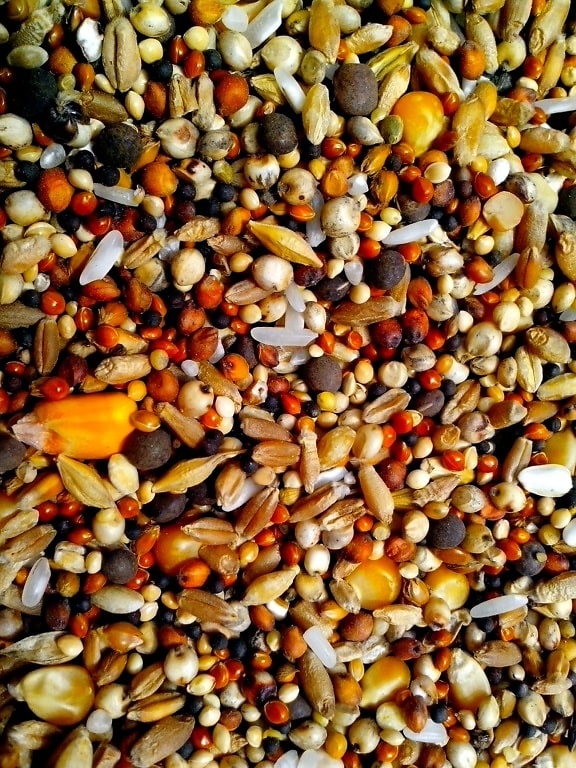 les graines, les céréales diverses,