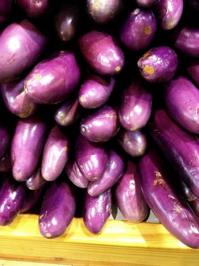 violet vif, le chinois, l'aubergine, solanum melongena