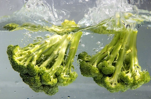 брокколи, потрясающий, источник, витамины, ну, пищевые волокна