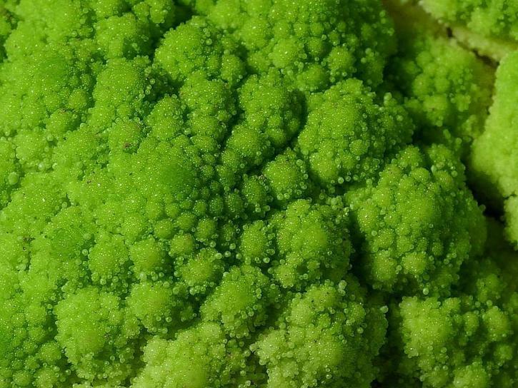 broccoli, plantaardige