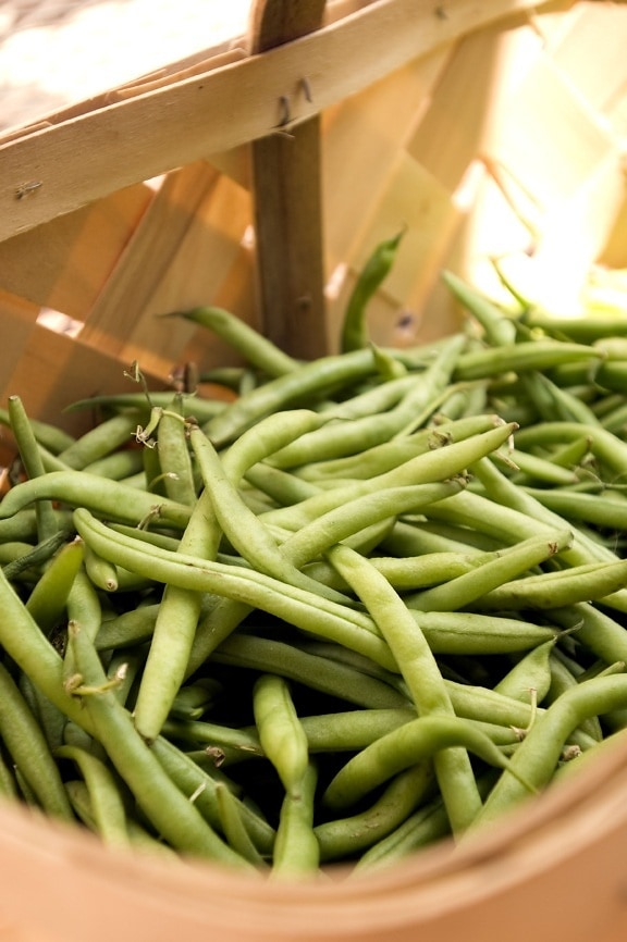 up-close, basket, fresh, green, beans