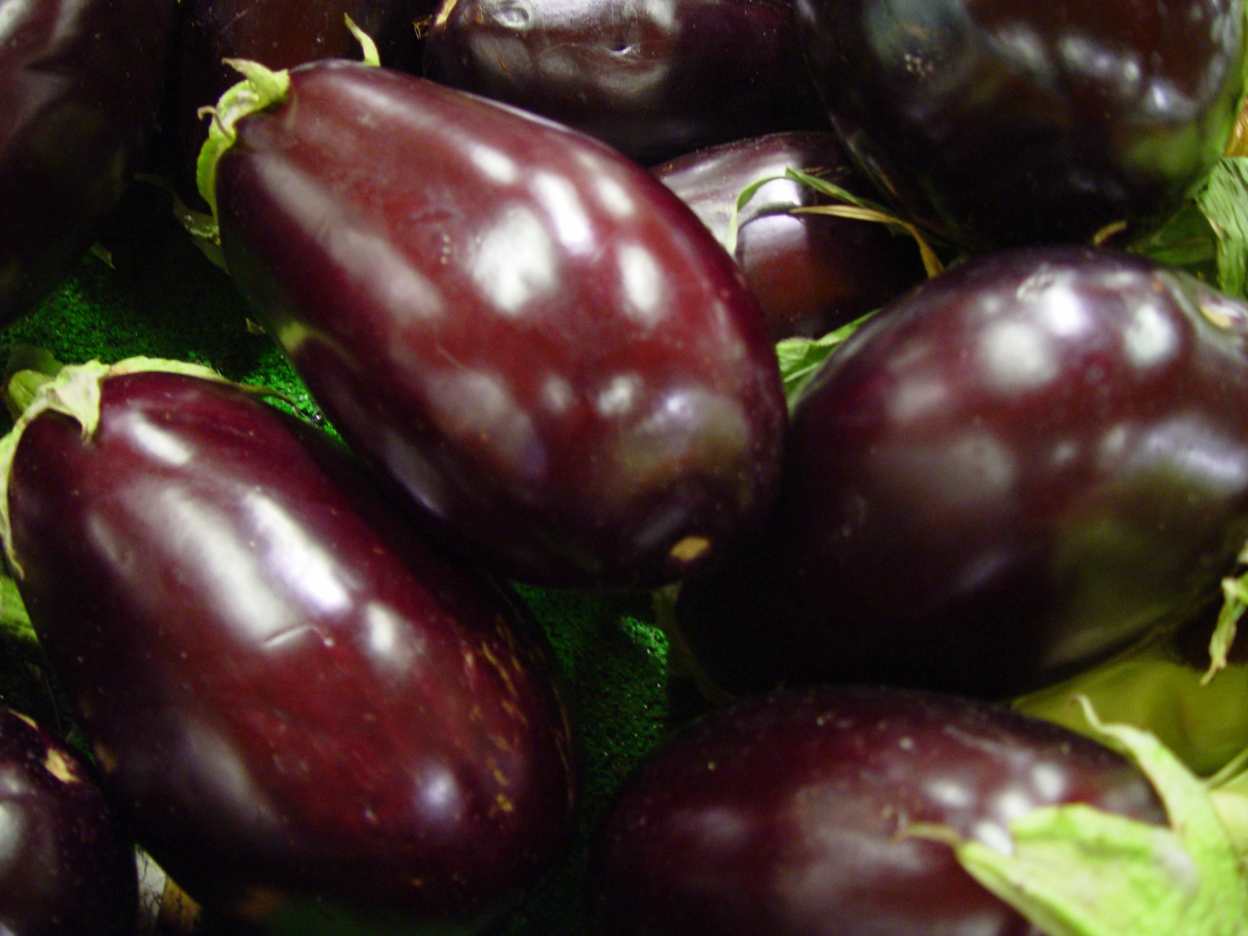 Free picture: eggplant, vegetable, aubergines
