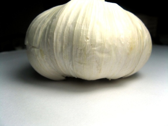 white, garlic