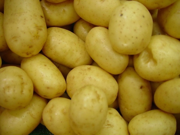 Delaware, batatas, vegetais