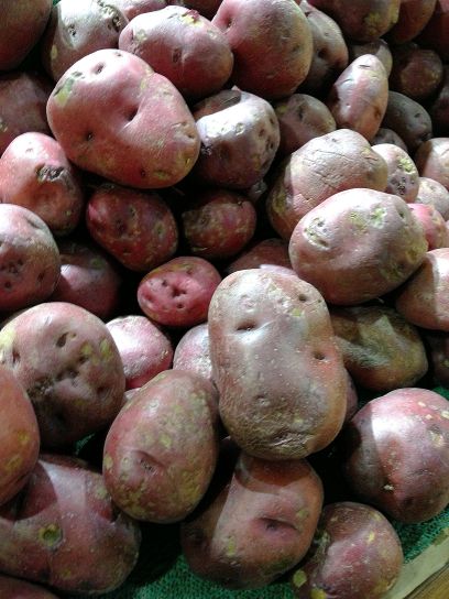 червените картофи, кестеняв цвят, дисплей, пазар