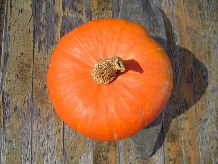 pumpkin, hokkaido, vegetable