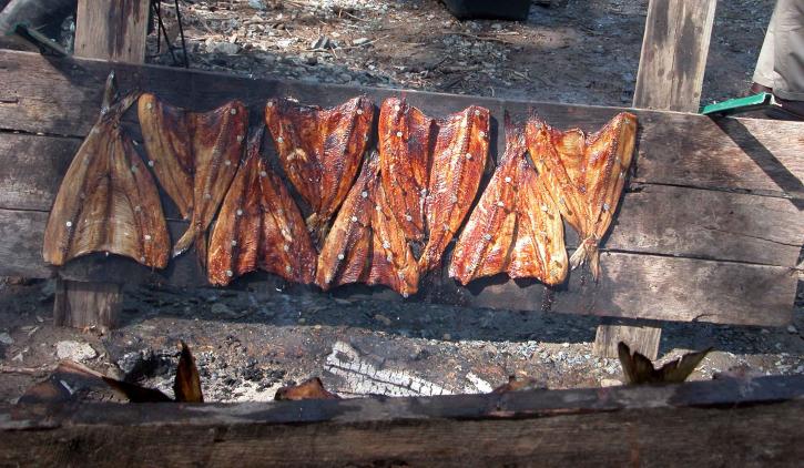 σχάρα, καπνιστό κρέας, ψάρια, sapidissima Κορυδαλλός