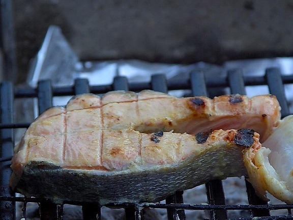 salmon, grill