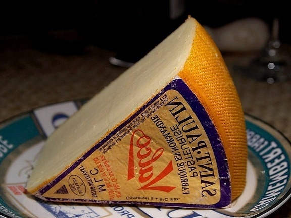 saint, Paulin, cheese