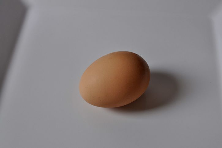 kurczak, jajko, białe tło