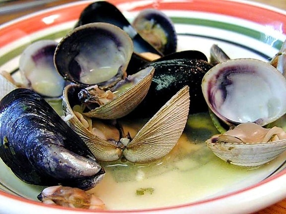 clams, muscles, shellfish, food