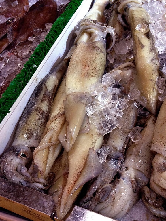 farmers, markets, fresh, seafood, section, squid