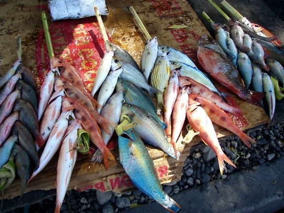 fisk, försäljning, marknad