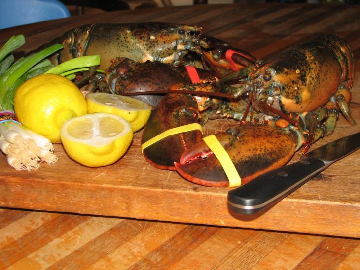 lobster, makanan