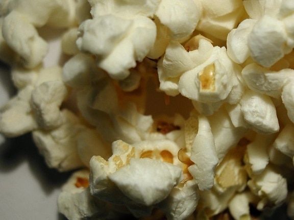 popcorn, white background