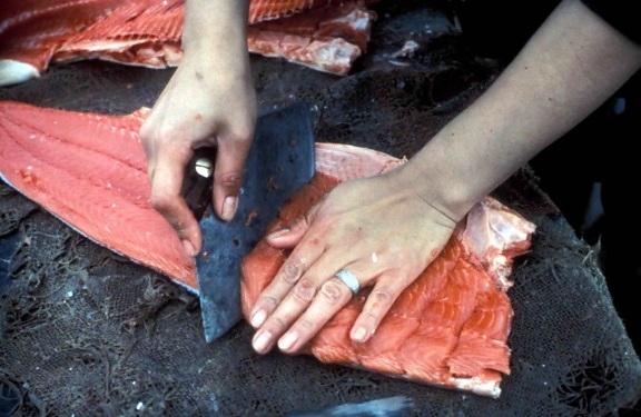 processing, salmon, fish, meat