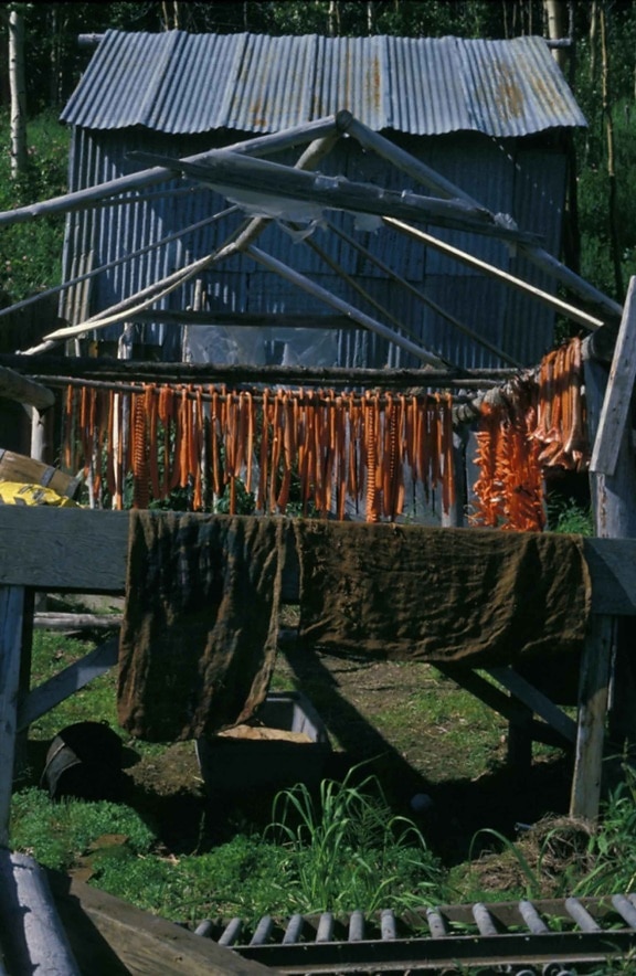 salmon, fish, drying, racks