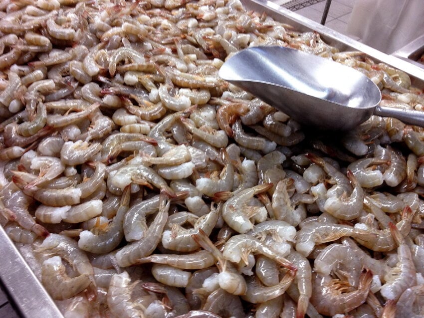 Free Picture Shrimp Market