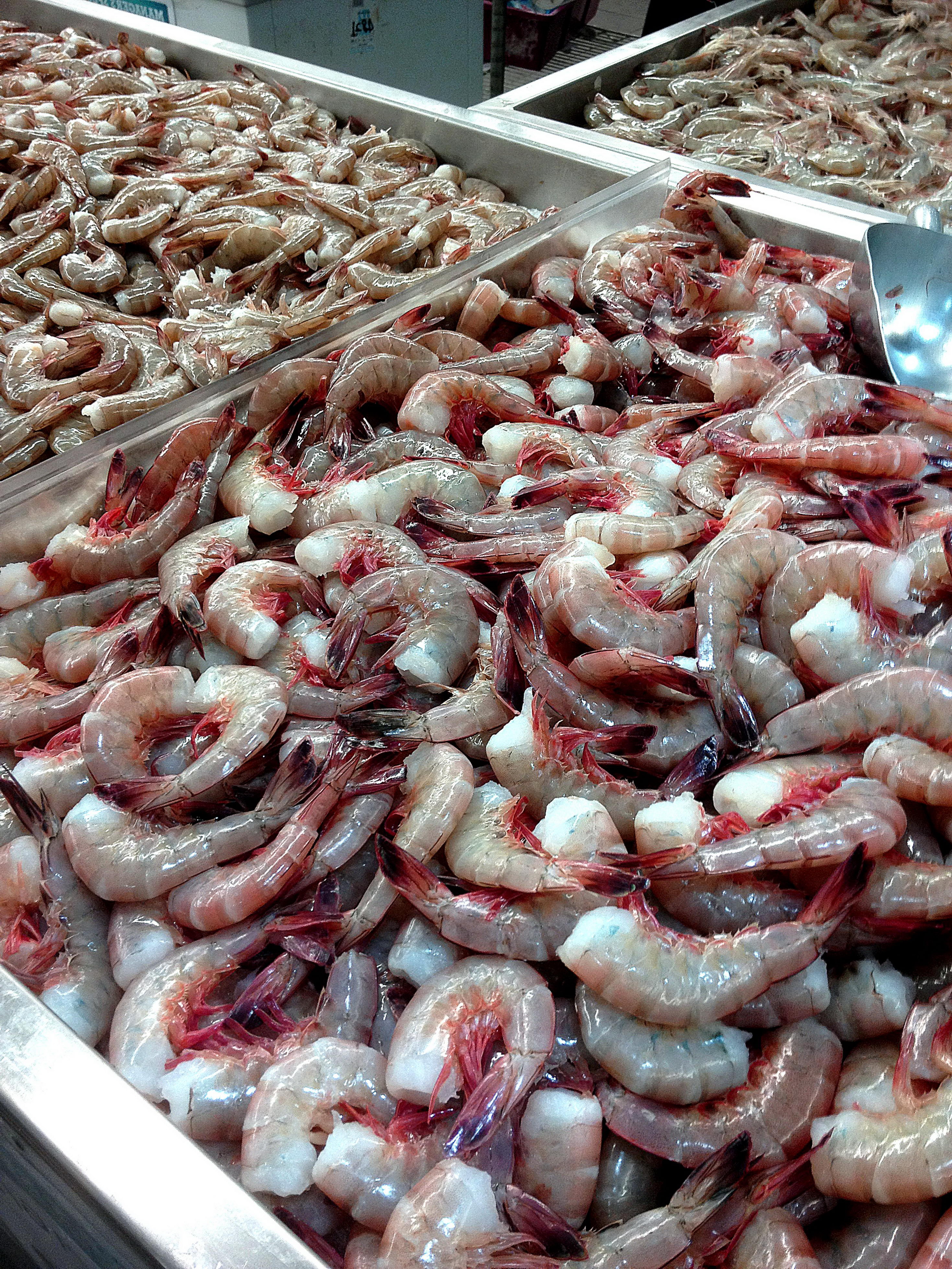 Free picture: two, unknown, freshly, delivered, headless, shrimp
