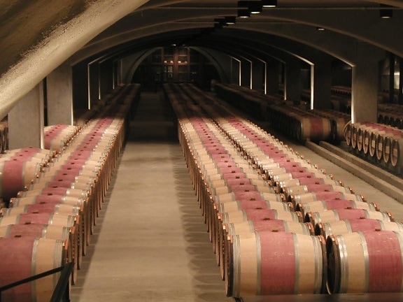 wine, cellars