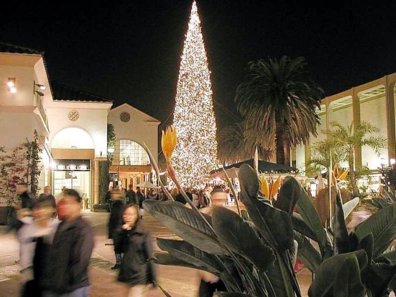 Christmas trees, orniments, malls