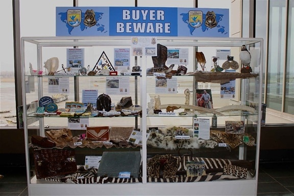 buyer, beware, exhibit, logan, airport