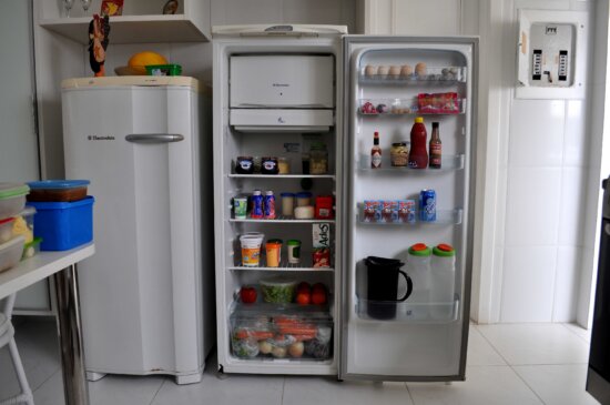fridge, groceries