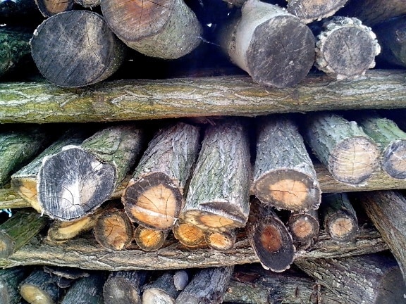 komplexné, palivové drevo