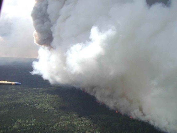 航空写真、写真、大きな、白、火、煙、森林火災します。
