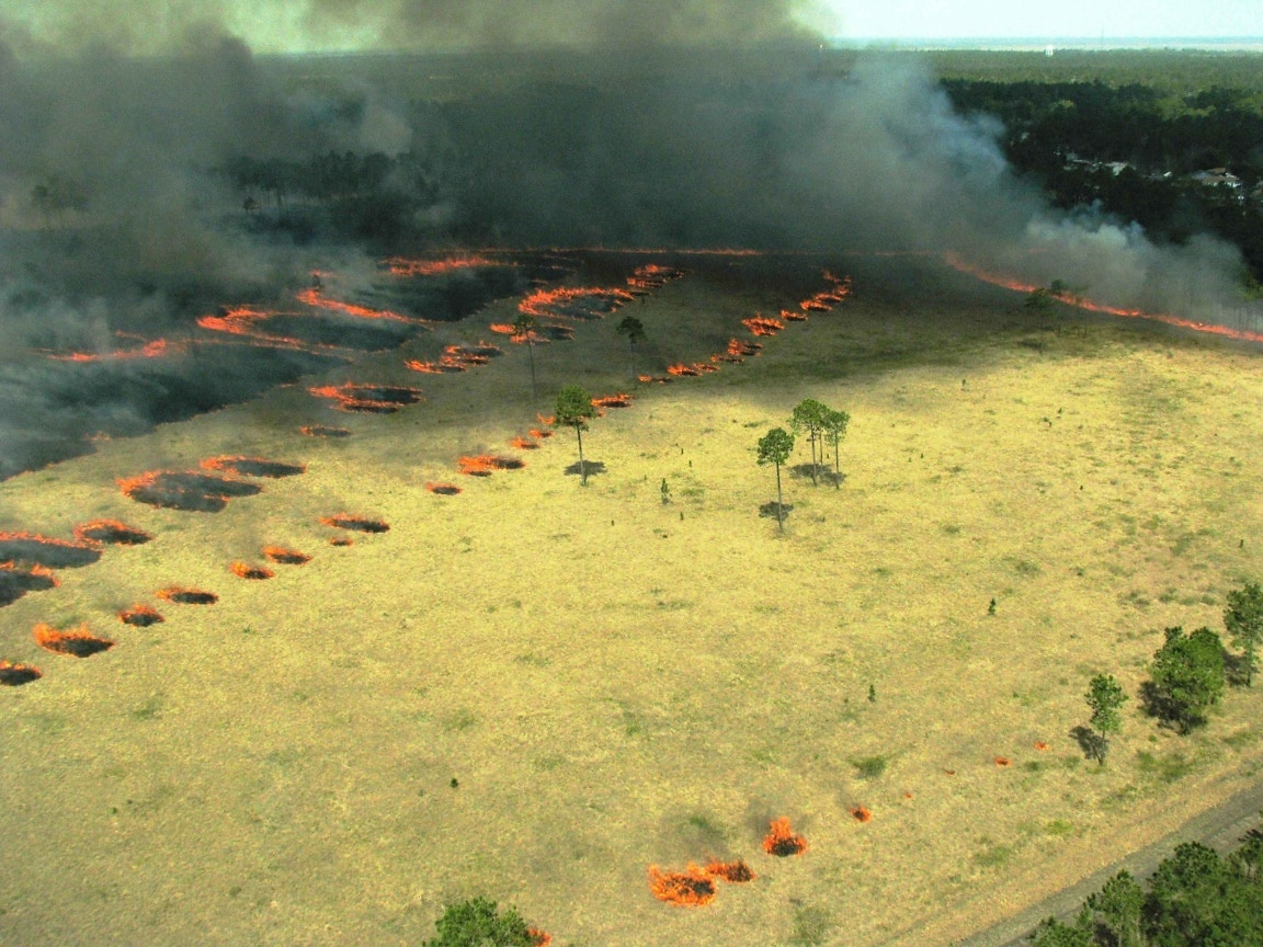 Поле лес пламени. Водяной и Огненный воздушный и Земляной. Aerial Fire бос. Огни перспектива. Огонь красивое фото.