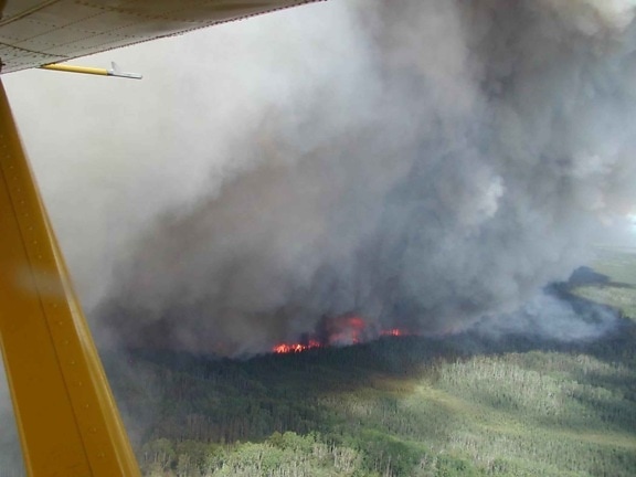 big, forest, fire, plane