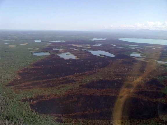 burned areas, big, forest, fire