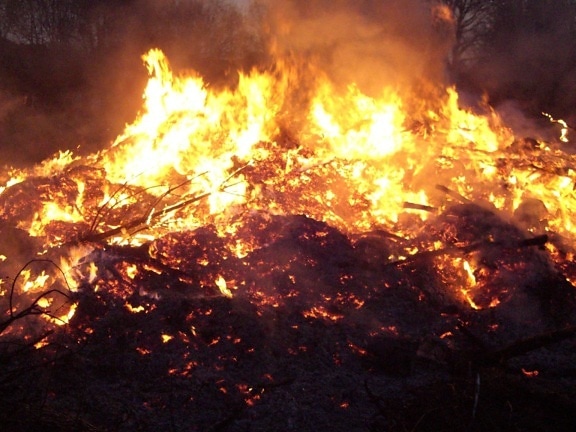 campfires, flames